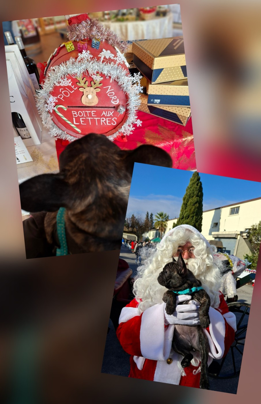 Joyeux Noël à tous les boubous et à leurs parentss !