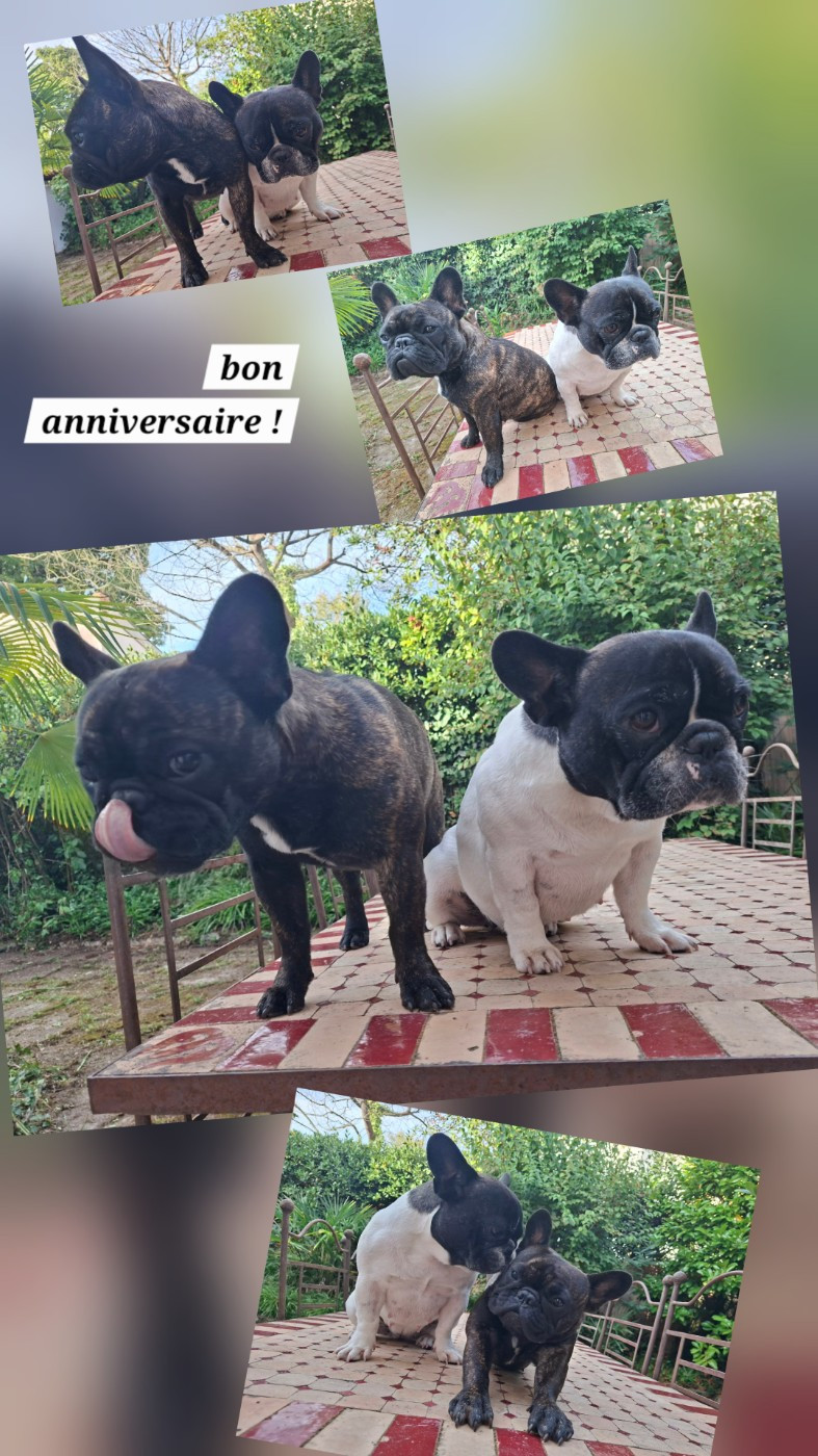 Déjà 1 ans !!