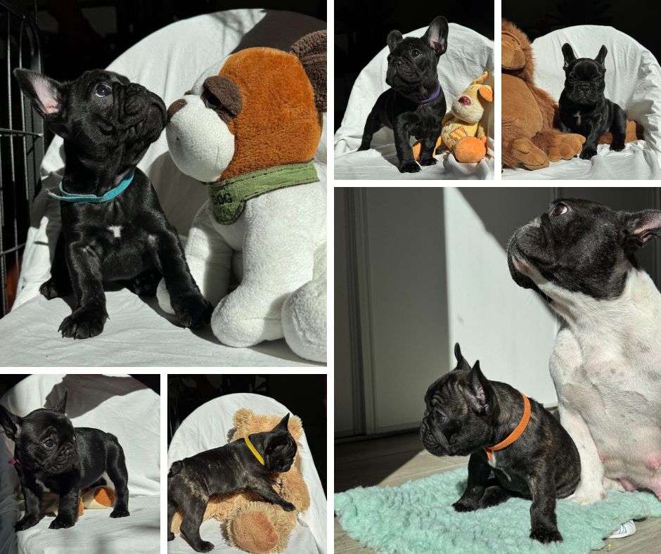 Réservations ouvertes !