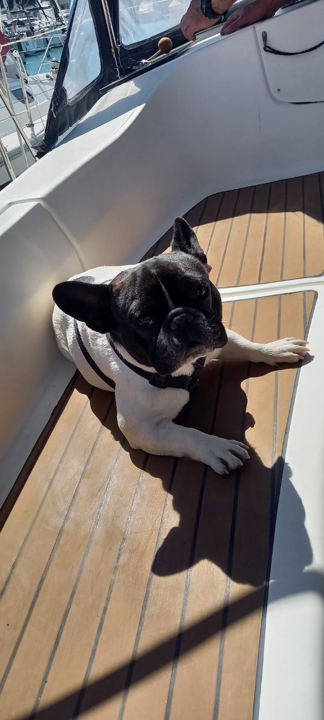 Nos boubous en vacances